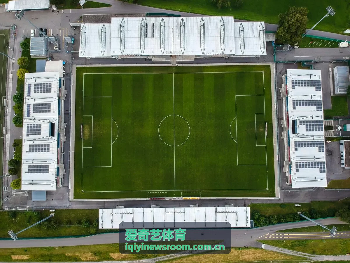 格斗竞技圈